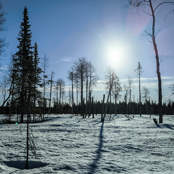 Fastbind Lapland April 2026